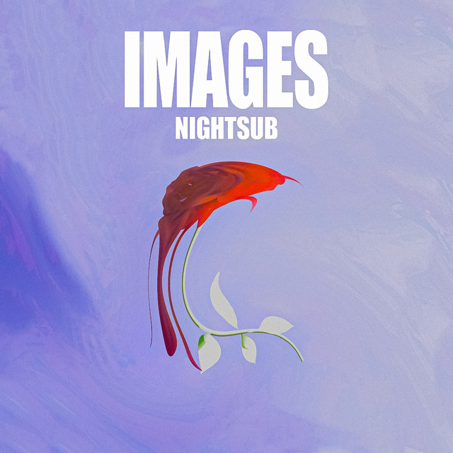 کاور آهنگ Images از Nightsub