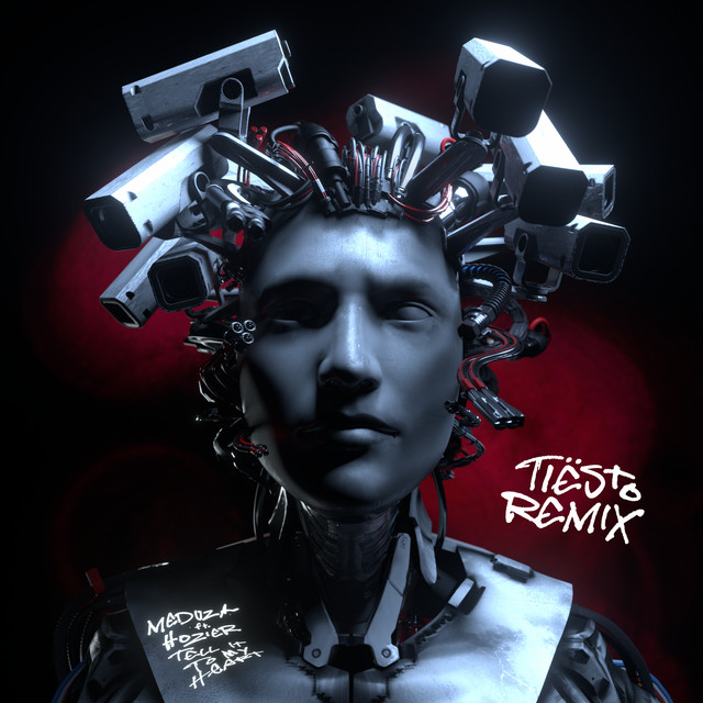 کاور آهنگ Tell It To My Heart (feat. Hozier) - Tiësto Remix از Tiësto, MEDUZA, Hozier