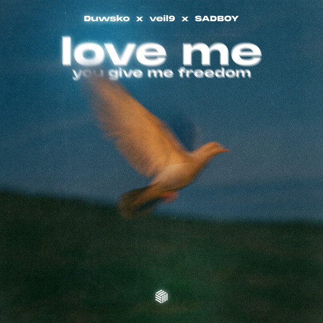 کاور آهنگ Love Me (You Give Me Freedom) از Duwsko, SADBOY, veil9