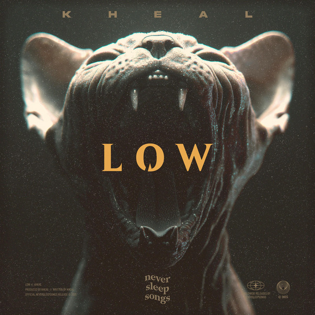 کاور آهنگ Low از NeverSleepSongs, Kheal