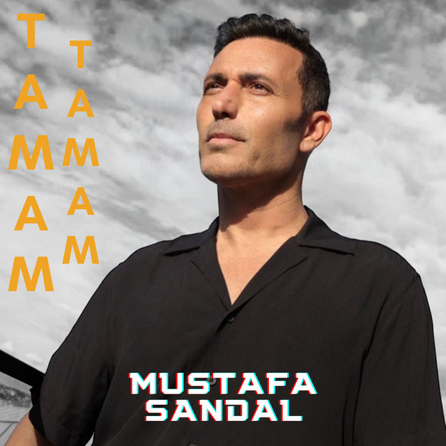 کاور آهنگ Tamam Tamam از Mustafa Sandal