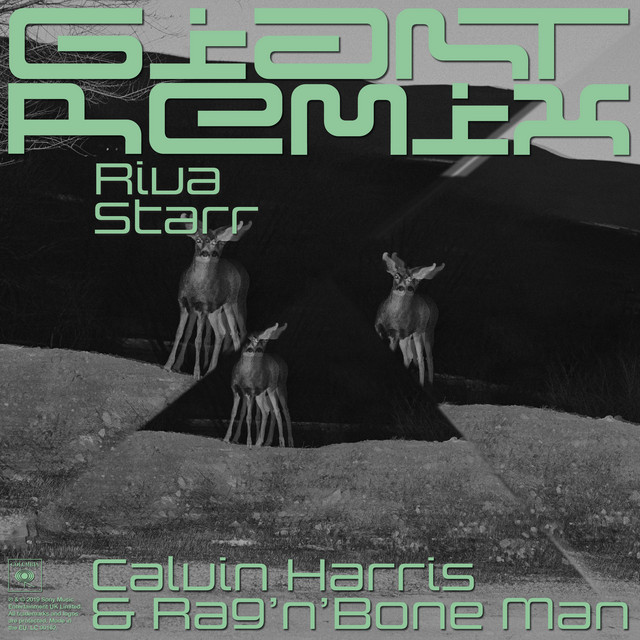 کاور آهنگ Giant (with Rag'n'Bone Man) - Riva Starr Tribe Vibe Remix از Calvin Harris, Rag'n'Bone Man, Riva Starr
