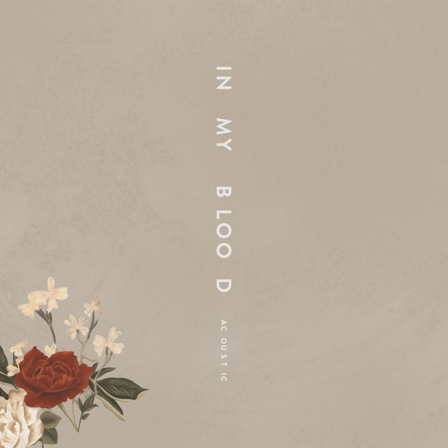 کاور آهنگ In My Blood - Acoustic از Shawn Mendes