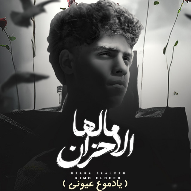 کاور آهنگ مالها الاحزان - يا دموع عيوني از Kimo Eldeeb