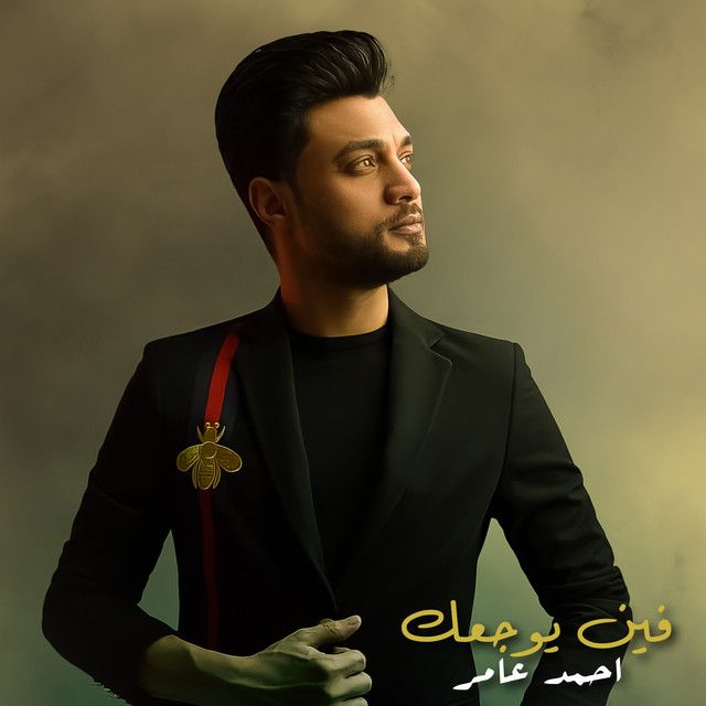 کاور آهنگ فين يوجعك از Ahmed Amer