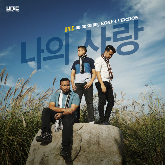 کاور آهنگ Na-Ae Sarang - Korean از Unic