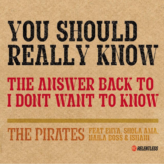 کاور آهنگ You Should Really Know - Instrumental از Enya, Shola Ama, The Pirates, Naila Boss