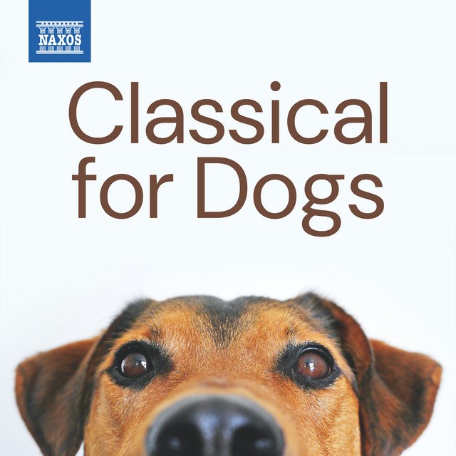 کاور آلبوم Classical for Dogs از Johann Sebastian Bach, George Frideric Handel, Dmitri Shostakovich, Antonin Dvorak, Wolfgang Amadeus Mozart, Robert Schumann, Claude Debussy, Maurice Ravel, Antonio Vivaldi, Amy Beach