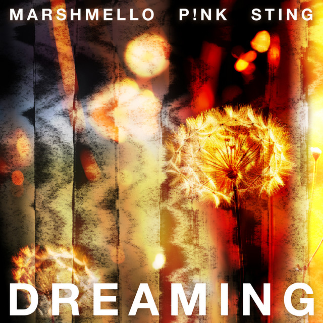 کاور آهنگ Dreaming از Marshmello, P!nk, Sting