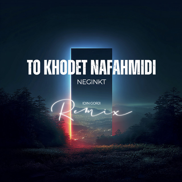 کاور آهنگ تو خودت نفهمیدی (ریمیکس ایدین گرجی) از آیدین گرجی, نگین کی‌تی