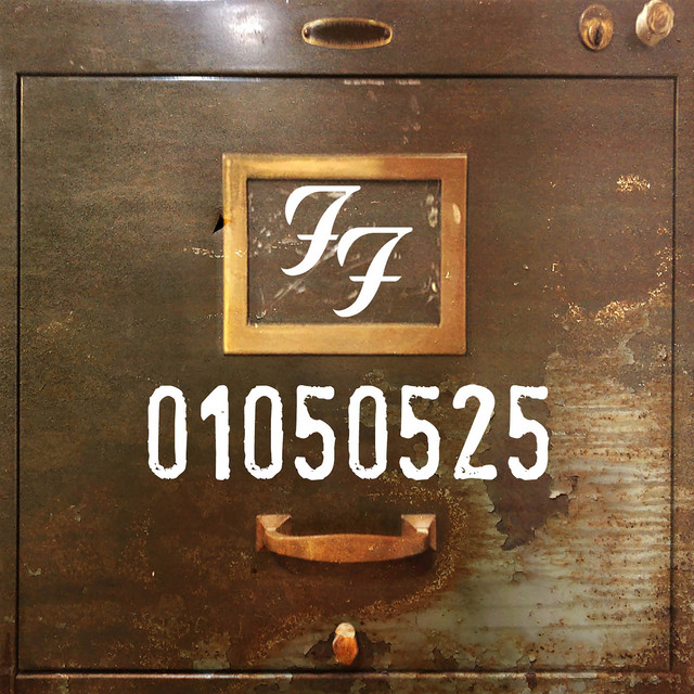 کاور آهنگ Born On The Bayou از Foo Fighters