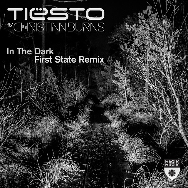 کاور آهنگ In the Dark (feat. Christian Burns) - First State Extended Remix از Tiësto, Christian Burns, First State