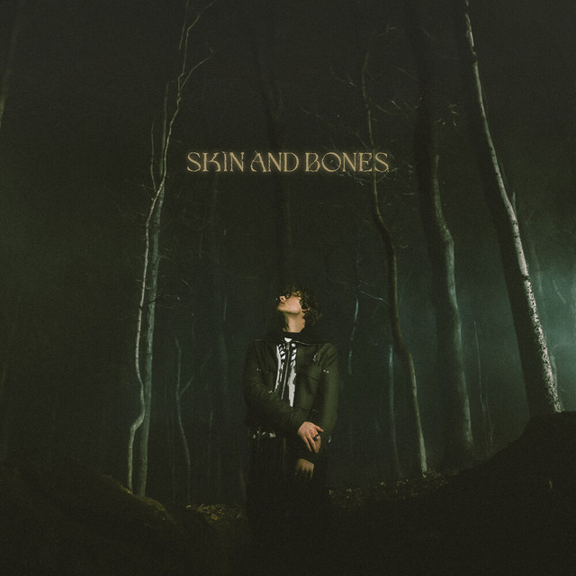 کاور آلبوم Skin and Bones از David Kushner