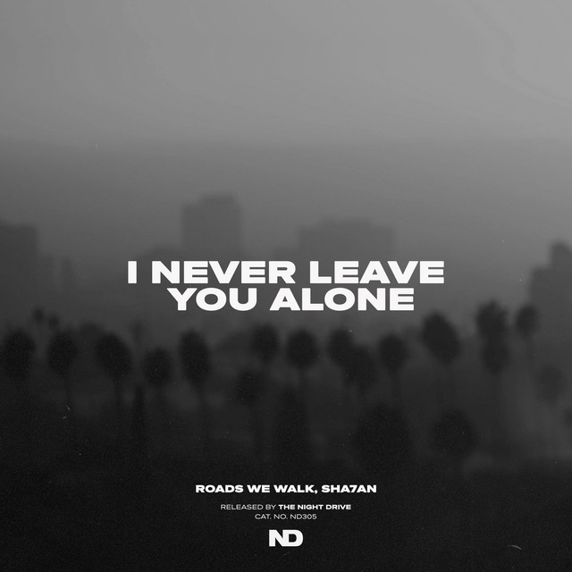 کاور آهنگ I Never Leave You Alone از Sha7an, Roads We Walk