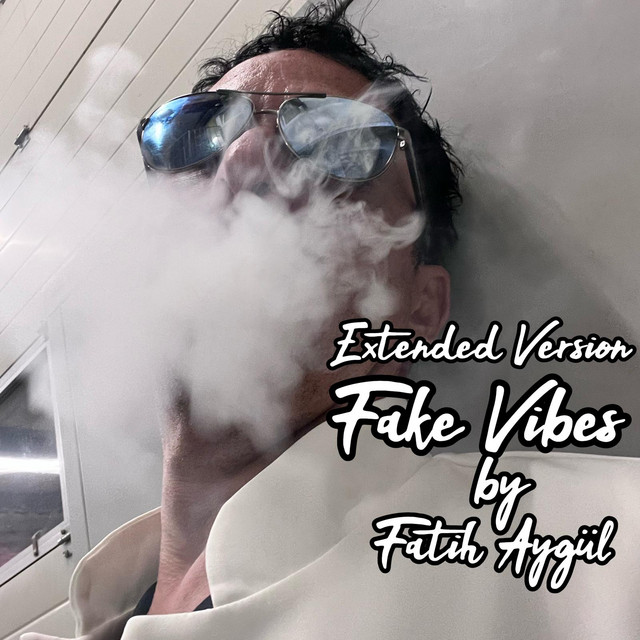 کاور آهنگ Fake Vibes - Extended Version از Fatih Aygul