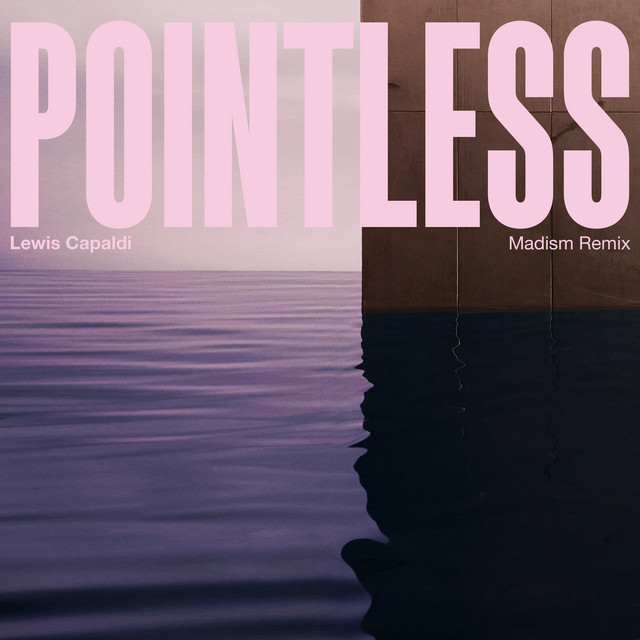 کاور آهنگ Pointless - Madism Remix از Madism, Lewis Capaldi