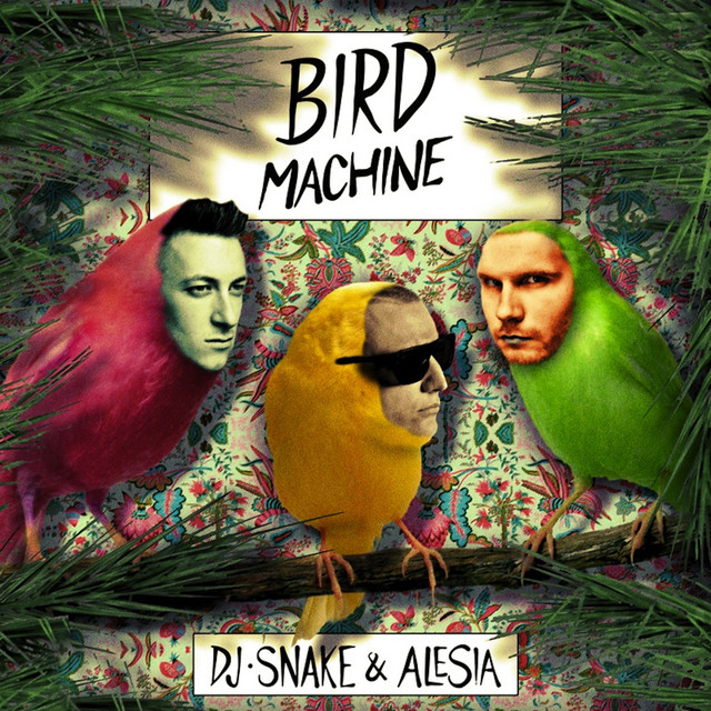کاور آهنگ Bird Machine از DJ Snake, Alesia