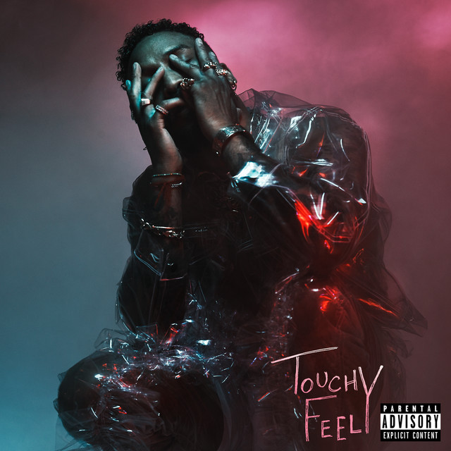 کاور آهنگ Touchy Feely از Ro James