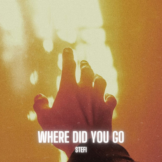 کاور آهنگ Where Did You Go از Stefi
