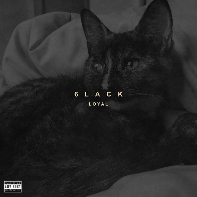 کاور آهنگ Loyal از 6LACK