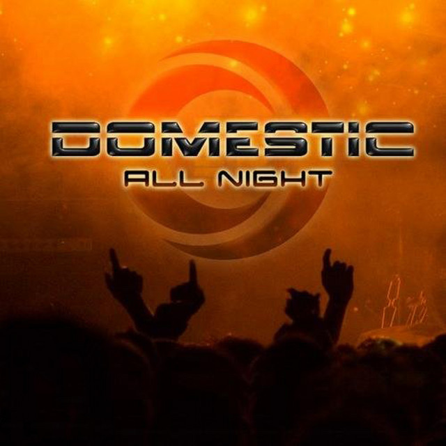 کاور آلبوم All Night از Domestic