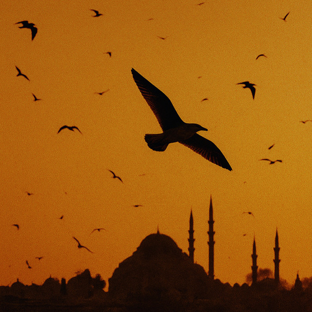 کاور آهنگ Uçurum از MERO