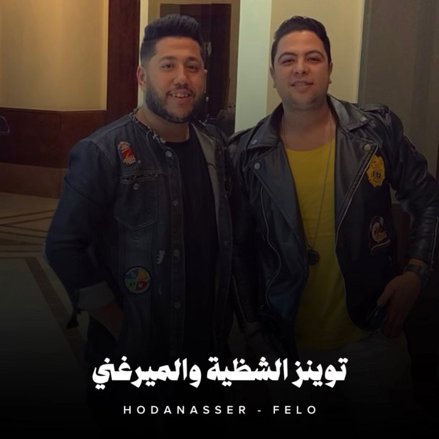 کاور آهنگ توينز الشظية والميرغني از Hoda Nasser, Felo