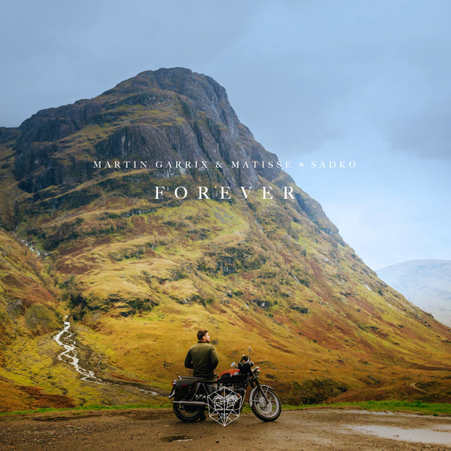 کاور آهنگ Forever از Martin Garrix, Matisse & Sadko