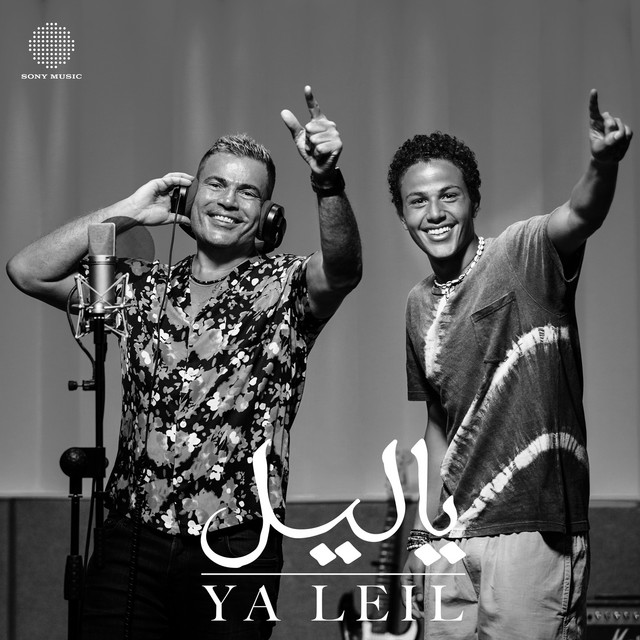 کاور آهنگ Ya Leil از Amr Diab