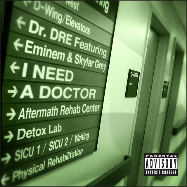 کاور آهنگ I Need A Doctor از Eminem, Dr. Dre, Skylar Grey