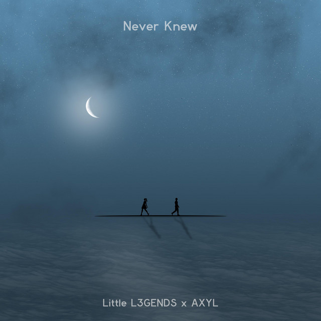 کاور آهنگ Never Knew از Little L3GENDS, AXYL