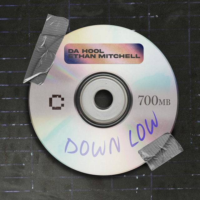 کاور آهنگ Down Low از Da Hool, ethan mitchell