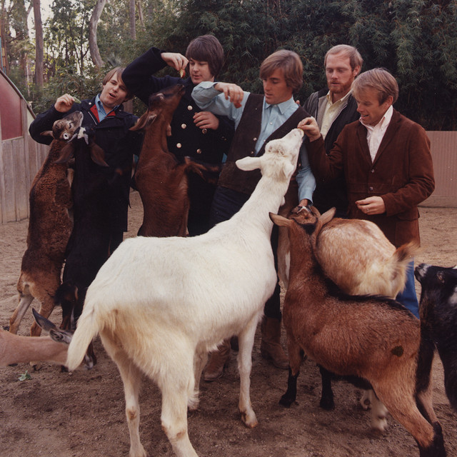 کاور آهنگ Why Do Fools Fall In Love - Remastered 2001 از The Beach Boys