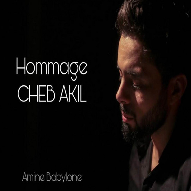 کاور آهنگ Hommage Cheb Akil از Babylone