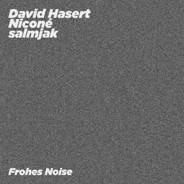 کاور آهنگ Frohes Noise از Nicone, David Hasert, salmjak