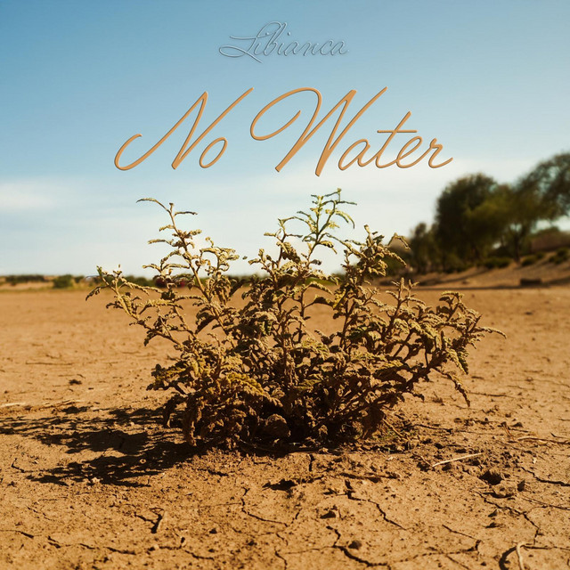 کاور آهنگ No Water از Libianca
