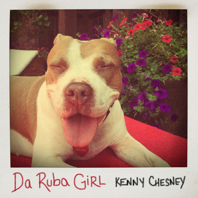 کاور آهنگ Da Ruba Girl از Kenny Chesney