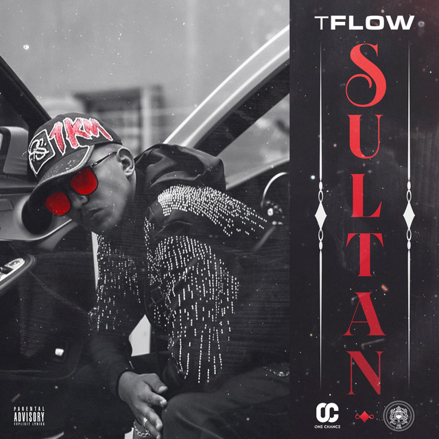 کاور آهنگ Sultan از Tflow