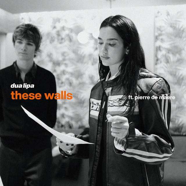 کاور آهنگ These Walls (feat. Pierre de Maere) از Dua Lipa, Pierre de Maere