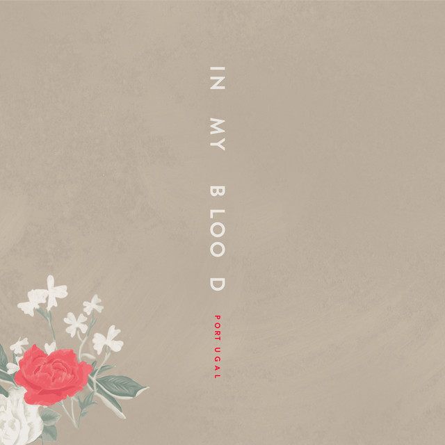 کاور آهنگ In My Blood - Portuguese Version از Shawn Mendes