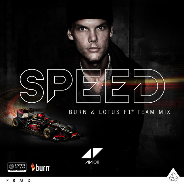 کاور آهنگ Speed - Burn & Lotus F1 Team Mix از Avicii