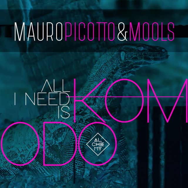 کاور آلبوم All I Need Is Komodo از Mauro Picotto, MOOLS