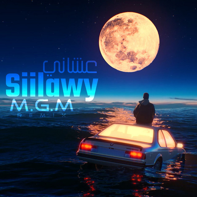کاور آهنگ Ashani (Remix) از siilawy