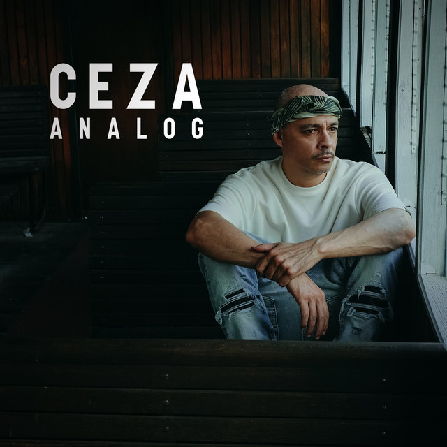 کاور آلبوم Analog از Ceza