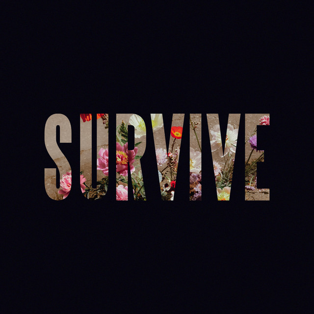 کاور آلبوم Survive - EP از Lewis Capaldi