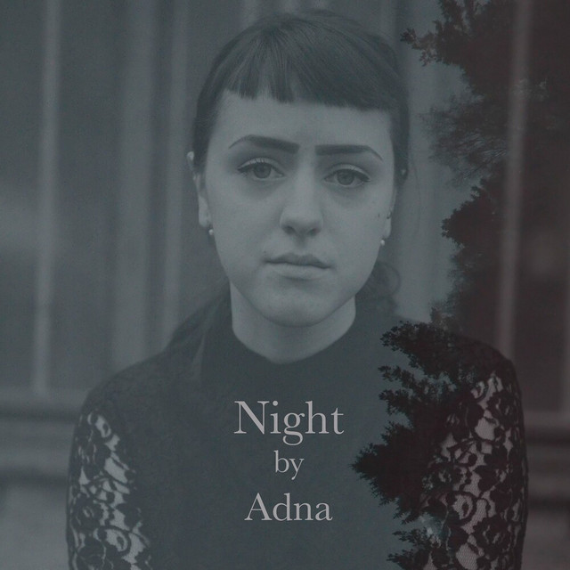 کاور آلبوم Night از Adna
