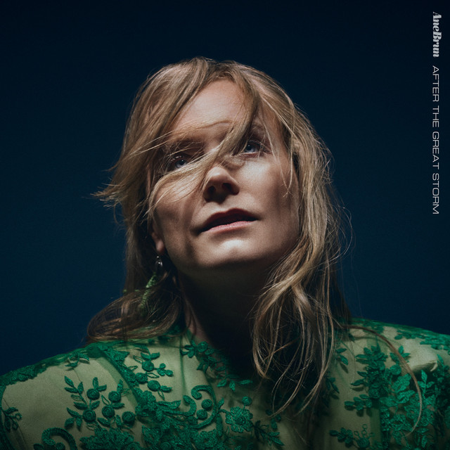 کاور آلبوم After The Great Storm از Ane Brun