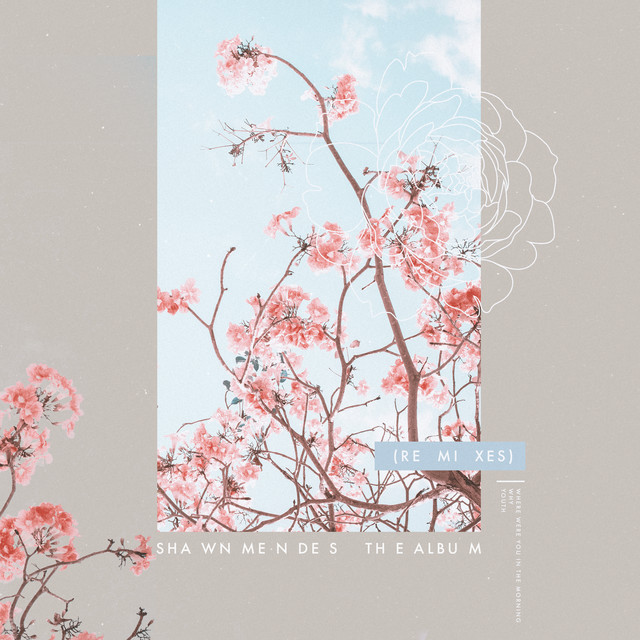 کاور آلبوم The Album (Remixes) از Shawn Mendes