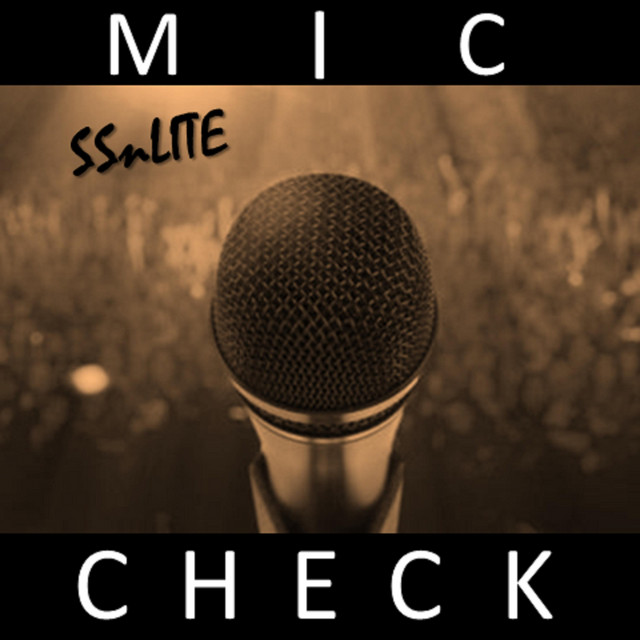 کاور آهنگ Mic Check از SSnLITE