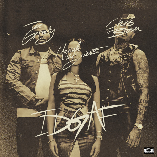 کاور آهنگ IDGAF (feat. Chris Brown and Mariah the Scientist) از Chris Brown, Tee Grizzley, Mariah the Scientist